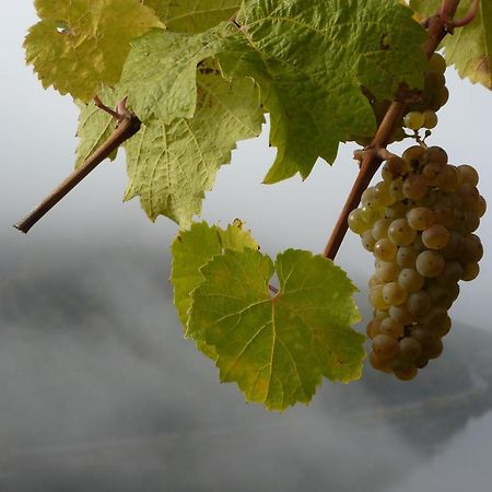 Winzerhof Gietzen Hotel Hatzenport Eksteriør billede